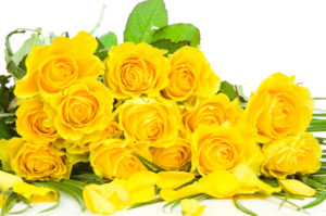 shutterstock 74995969 FloraQueen EN The Meaning and Symbolism Behind Yellow Roses