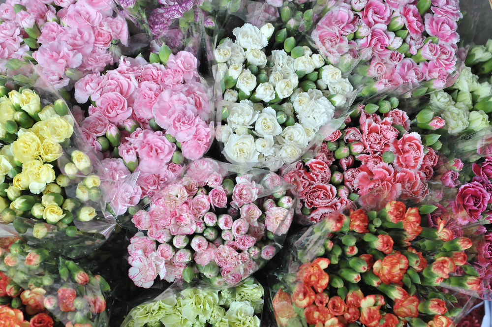 shutterstock 103289366 FloraQueen EN Benefits of Buying Wholesale Flowers