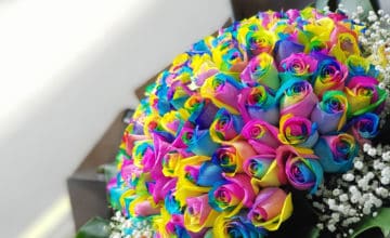 shutterstock 1246443586 FloraQueen Use a Rainbow Roses Bouquet as a Decoration or a Gift to Your Loved One