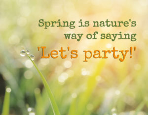 shutterstock 267865730 FloraQueen Learn the Most Famous Quotes about Spring to Surprise Your Friends and Family