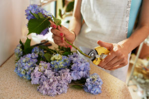 shutterstock 289960847 FloraQueen How to Cut a Flower Stem Correctly