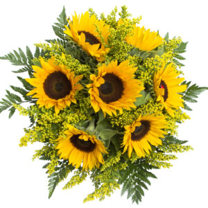 shutterstock 411413017 FloraQueen EN Sunflower Bouquet Delivery: The Many Benefits