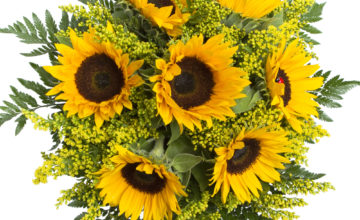 shutterstock 411413017 FloraQueen Sunflower Bouquet Delivery: The Many Benefits