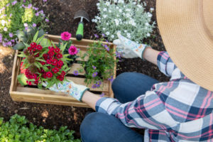 shutterstock 1090214483 FloraQueen EN How to Plant Flowers - Everything You Need to Know About Having A Successful Garden