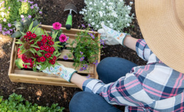 shutterstock 1090214483 FloraQueen How to Plant Flowers - Everything You Need to Know About Having A Successful Garden