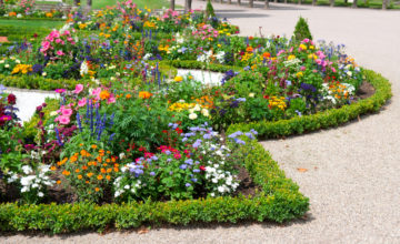 shutterstock 137484170 FloraQueen So Many Flower Beds: Which Should you Choose?