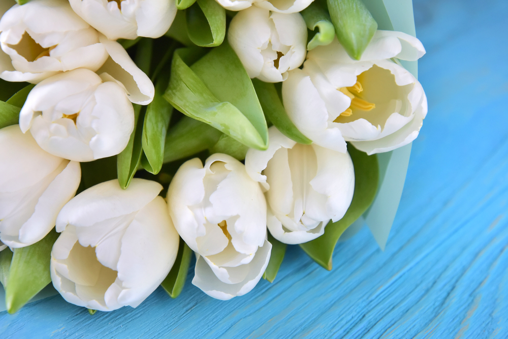 Elegant Tulip Bouquet Makes Your Spring More Beautiful and Colorful