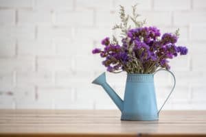shutterstock 540425149 min FloraQueen EN How to choose the best plants and flowers to decorate your home