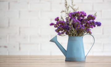 shutterstock 540425149 min FloraQueen How to choose the best plants and flowers to decorate your home