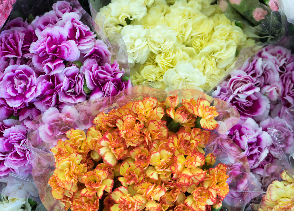 shutterstock 572219143 FloraQueen Why Should You Bulk Flowers Online: Discover the Possibilties