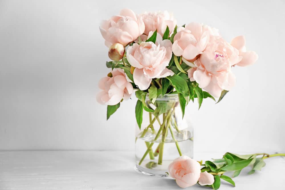 shutterstock 675957526 FloraQueen EN How Long Do Flowers Last and How Can We Enjoy A Fresh Bouquet