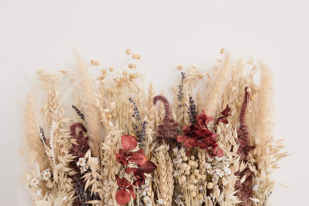 The Beauty (and Possibilities) of Dried Flowers