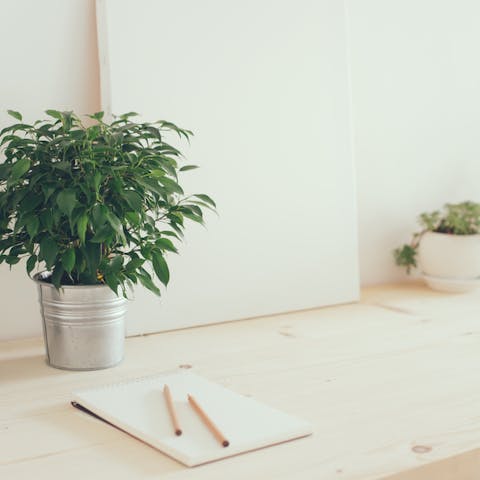 Best Office Plants to Help You Become More Productive - Flora Queen