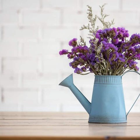 How to choose the best plants and flowers to decorate your home - Flora Queen
