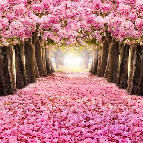 Pink Flowers on Trees: Exploring the Beauty of Nature - Flora Queen