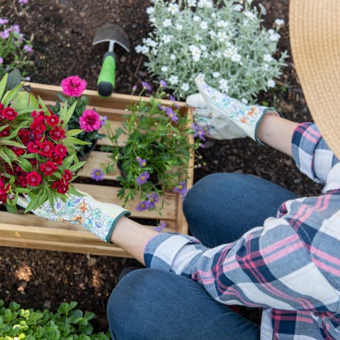 How to Plant Flowers – Everything You Need to Know About Having A Successful Garden - Flora Queen