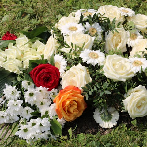 Learn the Meaning of Sympathy and Memorial Plants for Your Dear Ones - Flora Queen
