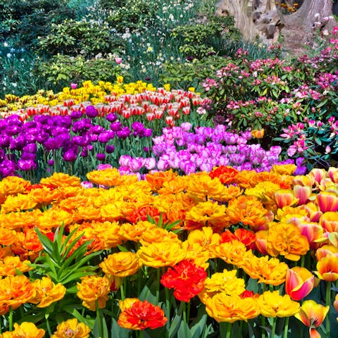 Learn the Meaning of Flowers Through the Art of Floriography - Flora Queen