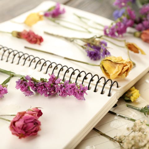 How to Dry Flowers: Keep Your Beloved Bouquet Longer - Flora Queen