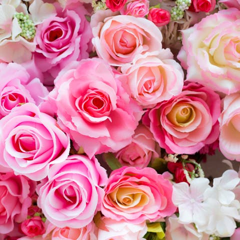Rose Symbolism: What You Need to Know Before Buying Roses - Flora Queen