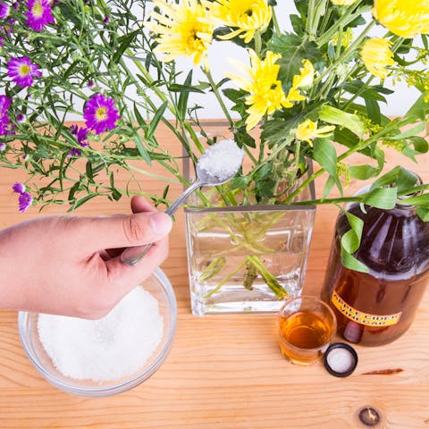 How to Keep Cut Flowers Fresh: A Guide for Making them Last Longer - Flora Queen