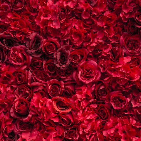 5 Weird Reasons That People Have Sent Flowers - Flora Queen