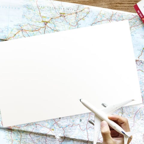 The Best Flowers To Send Someone Starting A New Life Abroad - Flora Queen