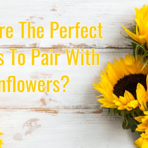 What Are The Perfect Flowers To Pair With Sunflowers? - Flora Queen
