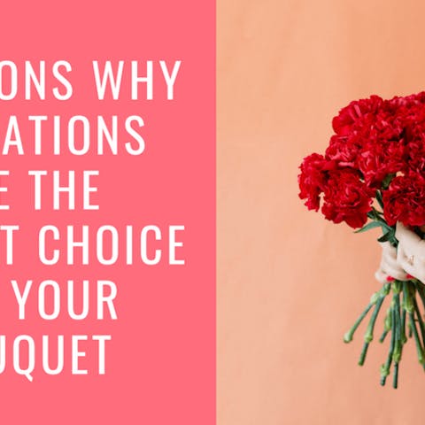 7 Reasons Why Carnations Are The Perfect Choice For Your Bouquet - Flora Queen