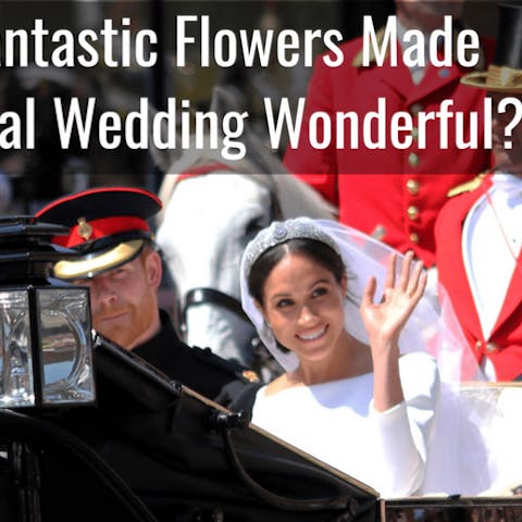 What Fantastic Flowers Made The Royal Wedding Wonderful? - Flora Queen