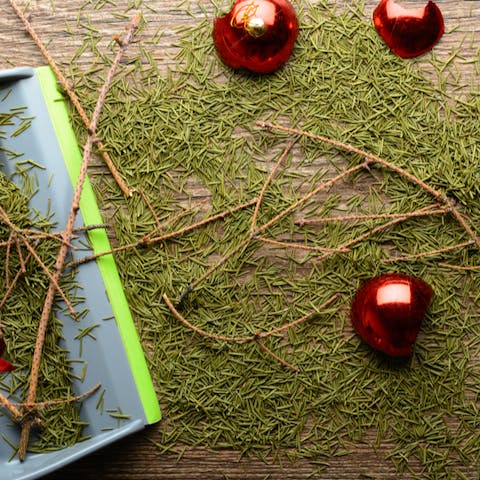 How to dispose of your Christmas Tree After The Holidays - Flora Queen