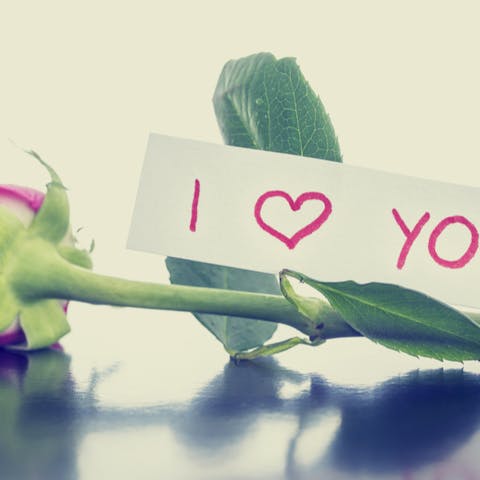 The Most Romantic Messages That Will Impress on Valentine’s Day - Flora Queen