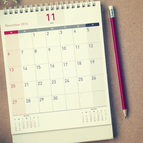 Plants that Flower in November - Flora Queen