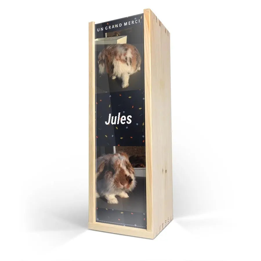 23b752b9c6bd9d8a78a258a21c662172