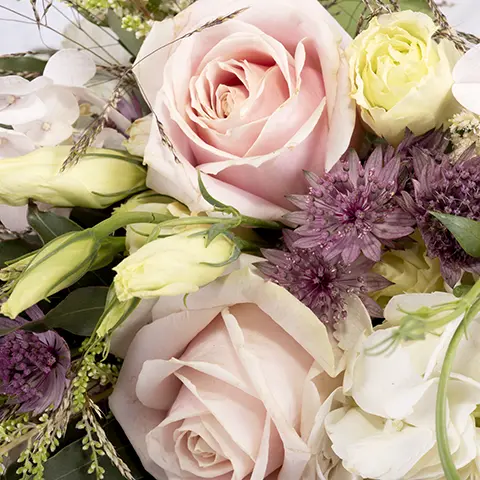 Bohemian Rhapsody Flora Queen