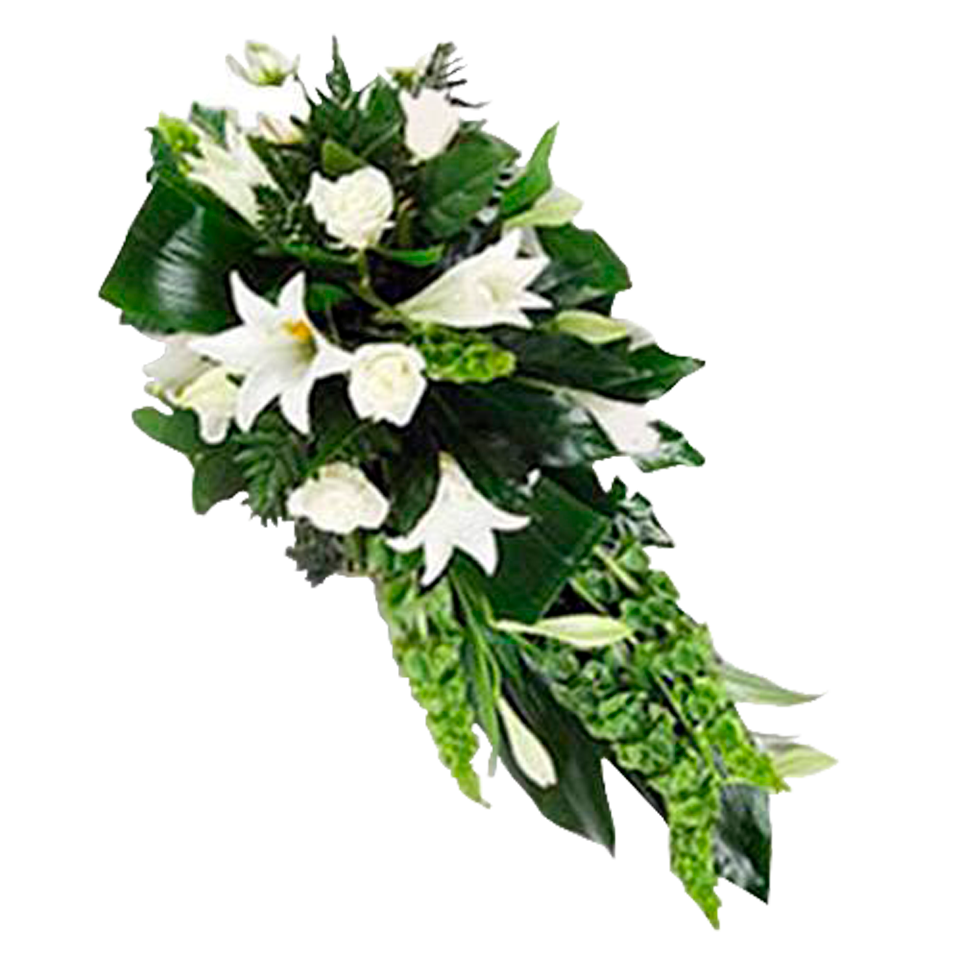 Eternal Memories Flora Queen