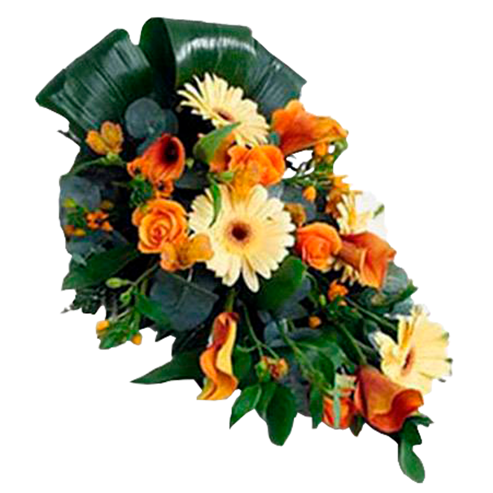 Sunset of Life Flora Queen