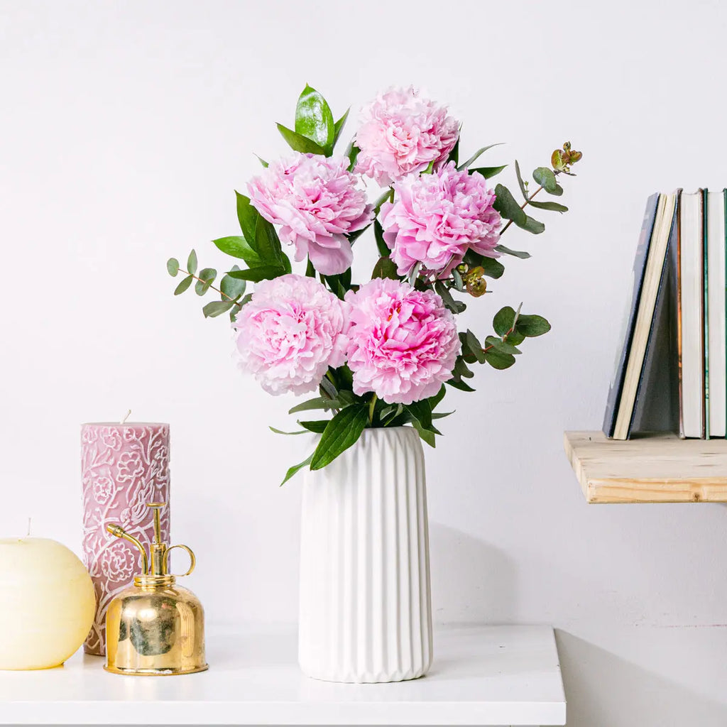 Peony Pop Flora Queen Flora Queen