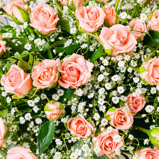 Boho Life Flora Queen Flora Queen