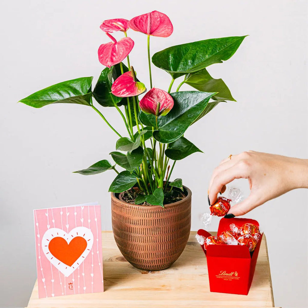 Heart Beats Flora Queen