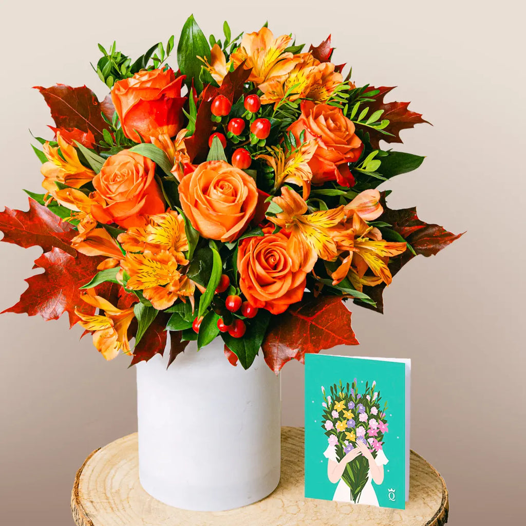 Warm Breeze Flora Queen Flora Queen