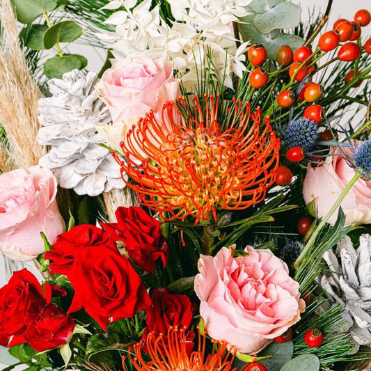 New Year's Delight Flora Queen Flora Queen