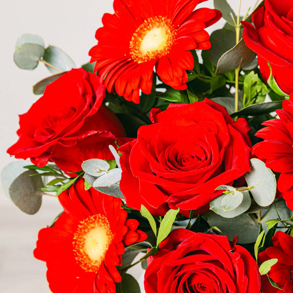 Premium Delight Flora Queen Flora Queen