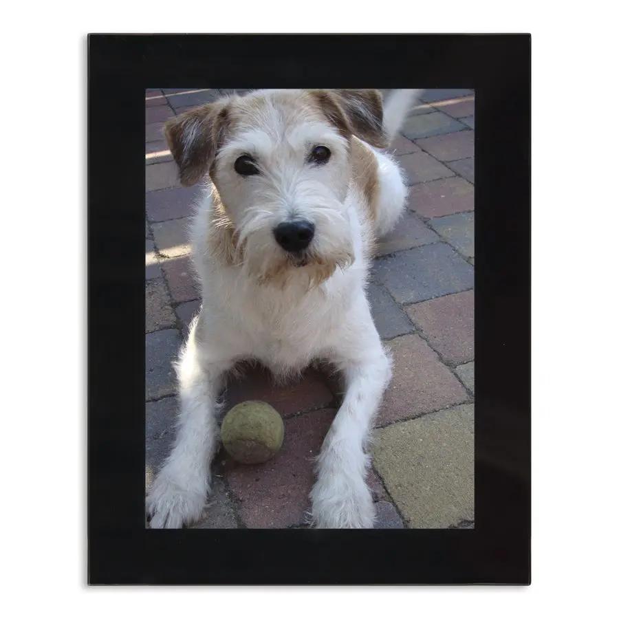 7a786e579ea222786f9cda00ed35f51c