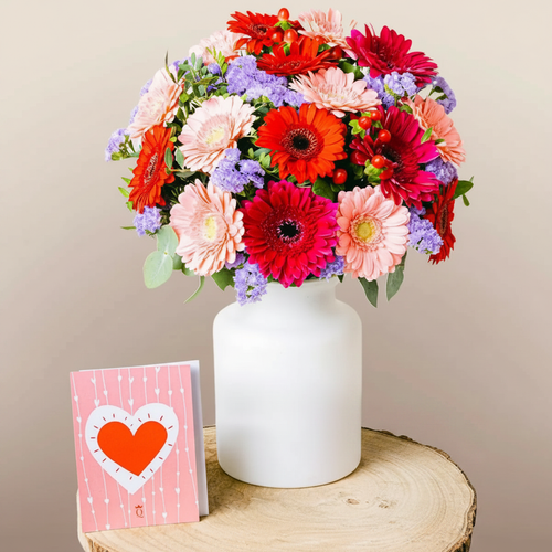 Colorful Cocktail - Gerberas