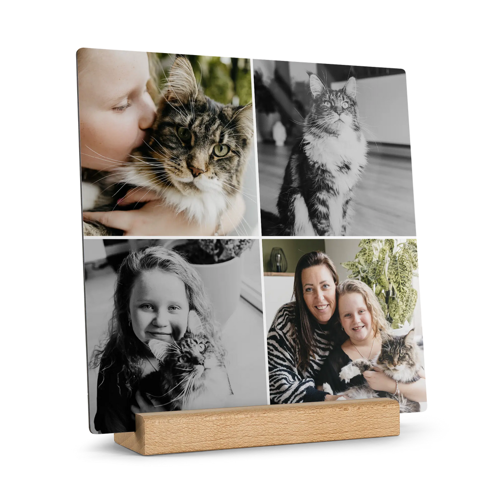 cc83a2f07ea42eba35b356fe75cb1b74