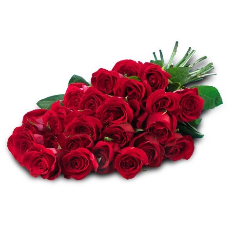 Welche Blumen schenken Sie zum Valentinstag?