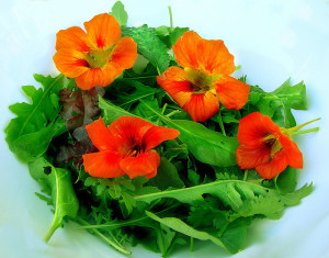 Kitzeln Sie Ihre Geschmacksnerven und verschönern Sie Ihre Gerichte mit essbaren Blumen