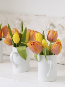 tulipanes22