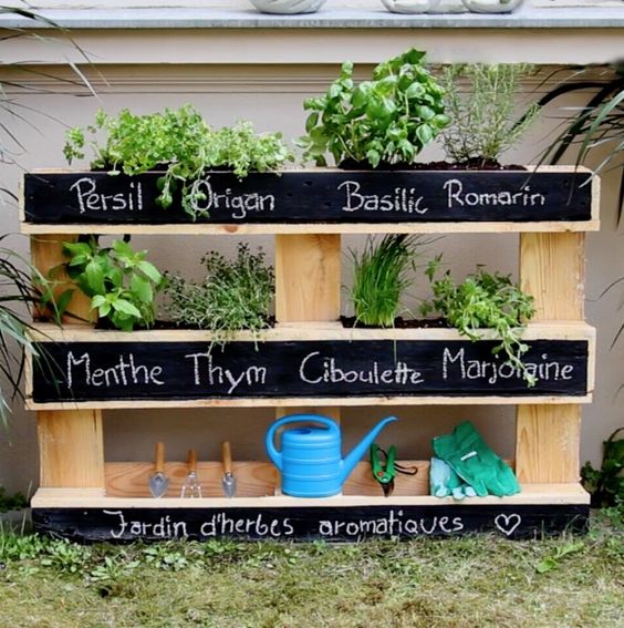 bac à jardiner pour les enfants plantes aromatiques